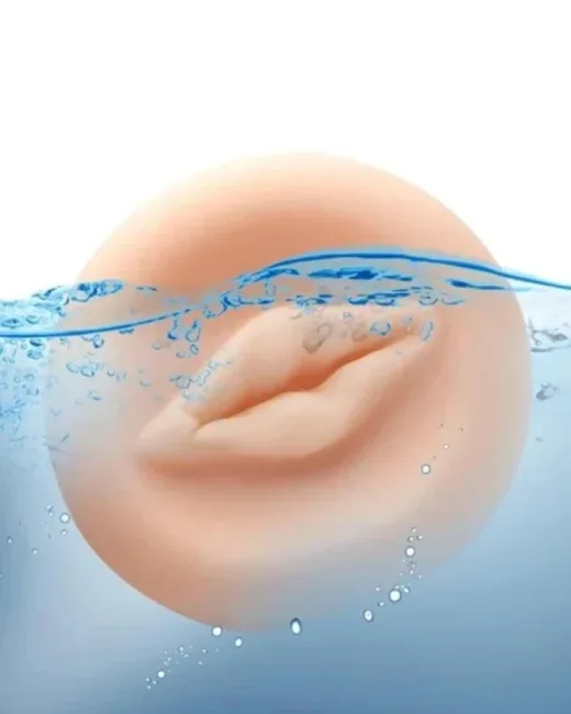 Penis Pompası Vajina Başlık Evrense – TPE